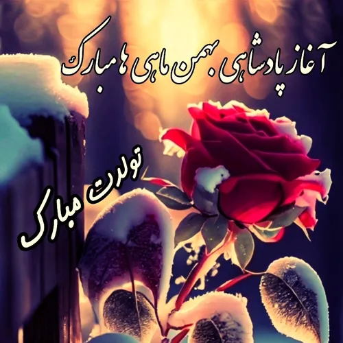  amirrezahamzehhamzeh 45640831 - عکس ویسگون