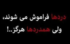 #ناز#نفست#ای#گفتی....