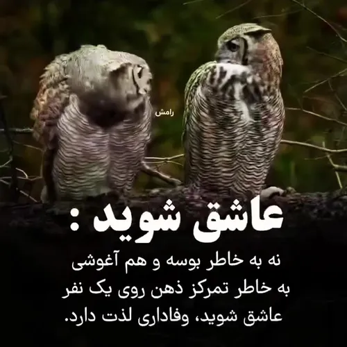 به افتخار مخاطب خاص