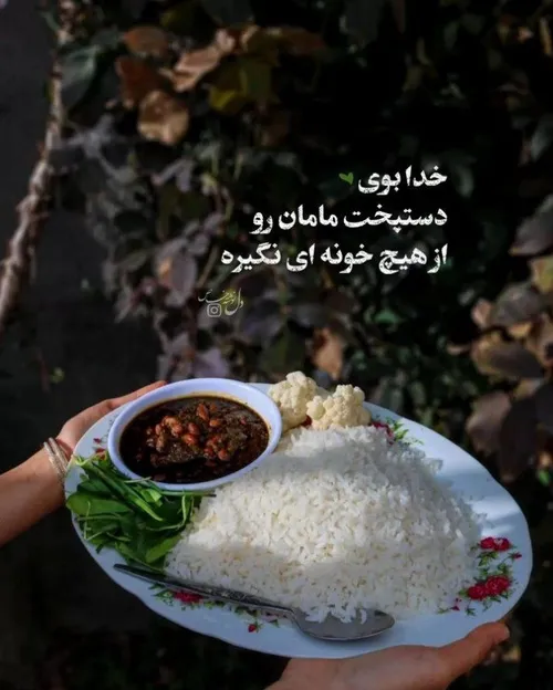 خدابوی دستپخت مامان رو از هیچ خونه ای نگیره