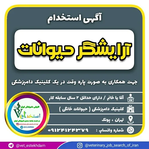 استخدام گرومر حیوانات خانگی به صورت پاره وقت در یک کلینیک