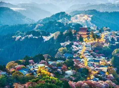 ژاپن با وجودجمعیت بالا، اولین کشوردنیاست که 74 درصد پوشش 