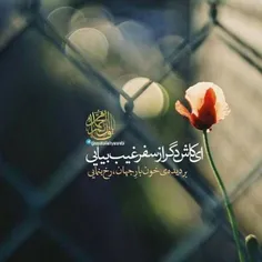 #سلام_امام_زمانم❤ ️ 