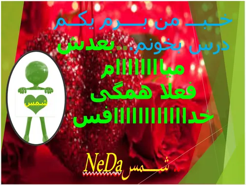 گوناگون neda-13780 16419545 - عکس ویسگون