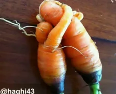 اینم هویج فرنگی .. 😊🧐😳