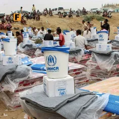 سازمان ملل به یمن حبوبات فاسد فرستاد! 