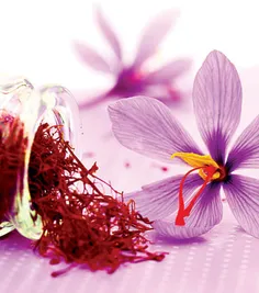: زعفران همیشه به عنوان یک ماده غذایی مفید و خوش عطر و رن