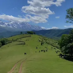 دست و پا بسته و رنجور به چاه افتادن