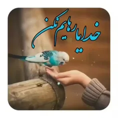 🦋من از کجا می‌توانم بفهمم که خدا محبوب‌ترین شخص من است؟؟ 