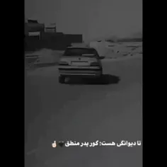 تا دیوانگی هست؛گور پدر منطق😈🖤🤙🏻