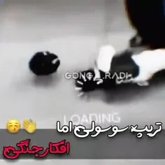 خالی نبند اگه بستی به ما نبند😎😎