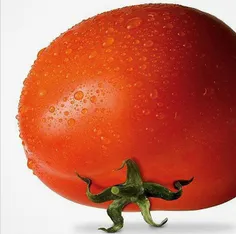 تویه این عکس قسمت سبزرنگ سرِ گوجه تداعی کننده پدر ایرانیه