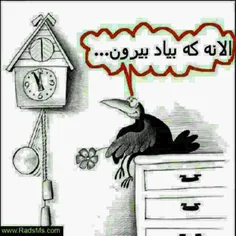 بامزه