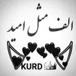 omid.kurd2891