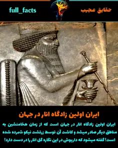 ایران اولین زادگاه انار