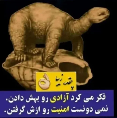 بسم الله الرحمن الرحیم