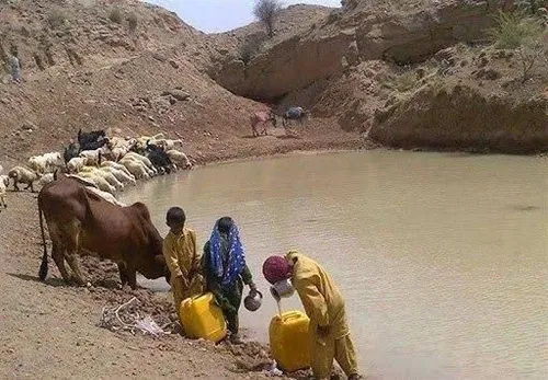 دولت کور و کر  کمی صدا مردم و چش بینا داشته باش