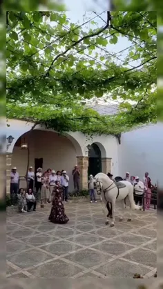 رقص اسپانیولی.