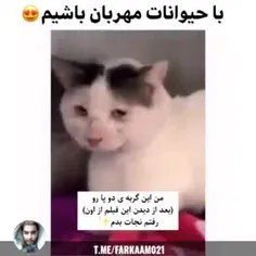 با حیوانات مهربان باشیم ❤️