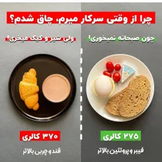 کارشناس تغذیه هستم با شماره نظام پزشکی ت۱۰۸۷۲ برای دریافت