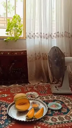 فکر کن وسط تابستون اوج گرما☀️از امتحانات خرداد برگشتی خون