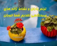 سلام صبحتون بخیر