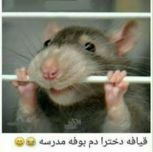 ناراحت نشینا ولی راست میگه😓 😓 😏 😏