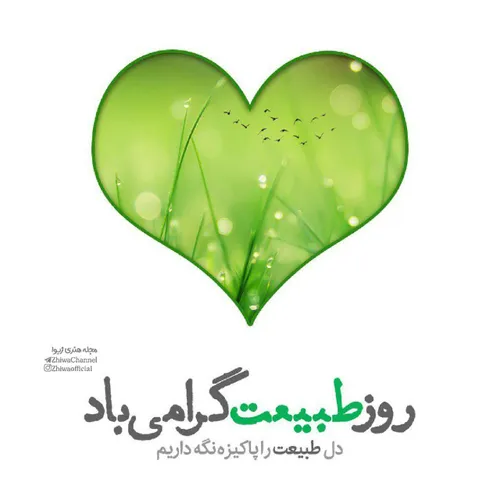 گِره 13