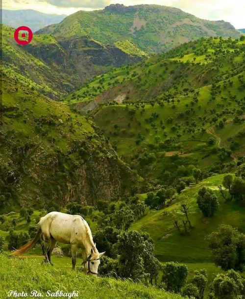 طبیعت زیبای آلان سردشت آذربایجان غربی