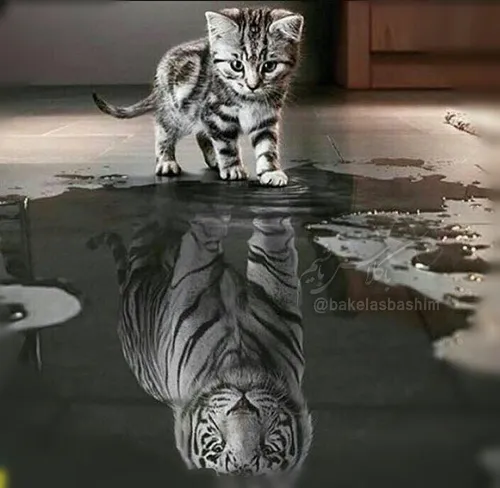 How others see you is not important, How you see yourself