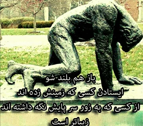 پاشو داداش