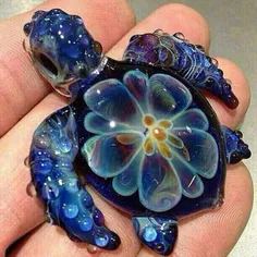 قشنگترین لاکپشت دنیا