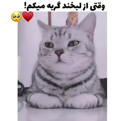 فقط لبخندش🥲