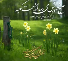 #سلام_امام_زمانم 💚