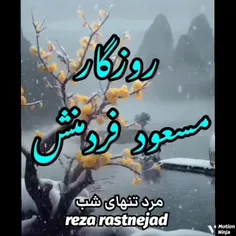 مرد تنهای شب @محکوم به عشق @آخر هفته ای زیبا 