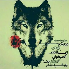 https://telegram.me/joinchat/DIv2UD8Qevz4hIKjVe-eJwحتما ب