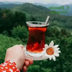 🌸بر در خانه‌ٔ صبح تلنگری بزن 