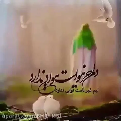 یا امام زمان ادرکنی