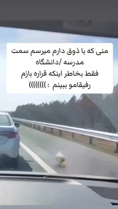 بخاط درخواست فالوور قیشنگم پستش کردم🙂💜