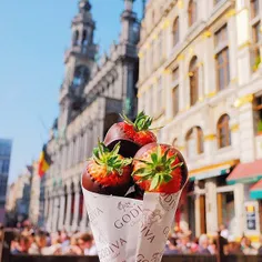 توت فرنگی آغشته به شکلات ، بلژیک