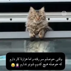 حق تا خشتک😂