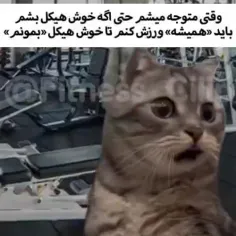 بخدا دنیا دو روزه 😂😂