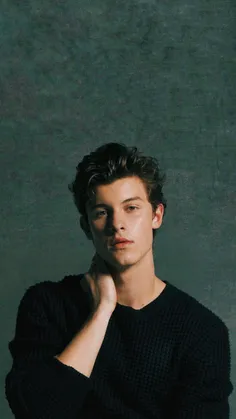 #shawn_mendes