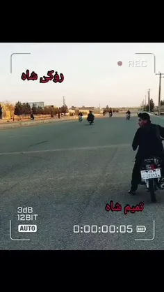 زنده باد بچها شیدایی هرات قلندر 