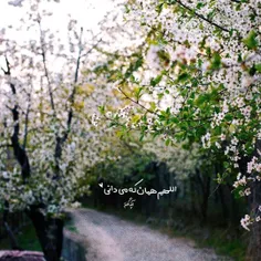 اللهم همان که می دانی 🌷🍃...