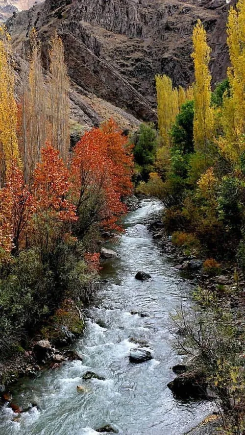 ایران زیبا آسارا کرج