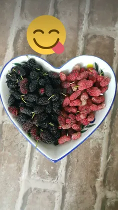 😋 😋 😍 😋 😋  بفرمآیینـ........ن  نیگــآ😀