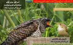 هخامنشیانـــــ...ـــتوهمی پوشالی