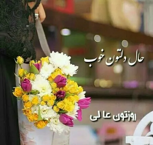  shirazish 56662642 - عکس ویسگون