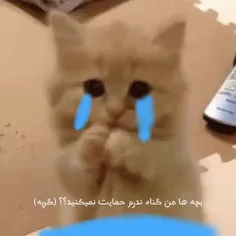 عر چراااااا